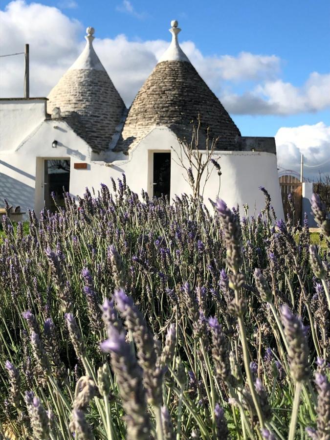 הוילה מרטינה פרנקה Trullo Trilli Puglia מראה חיצוני תמונה