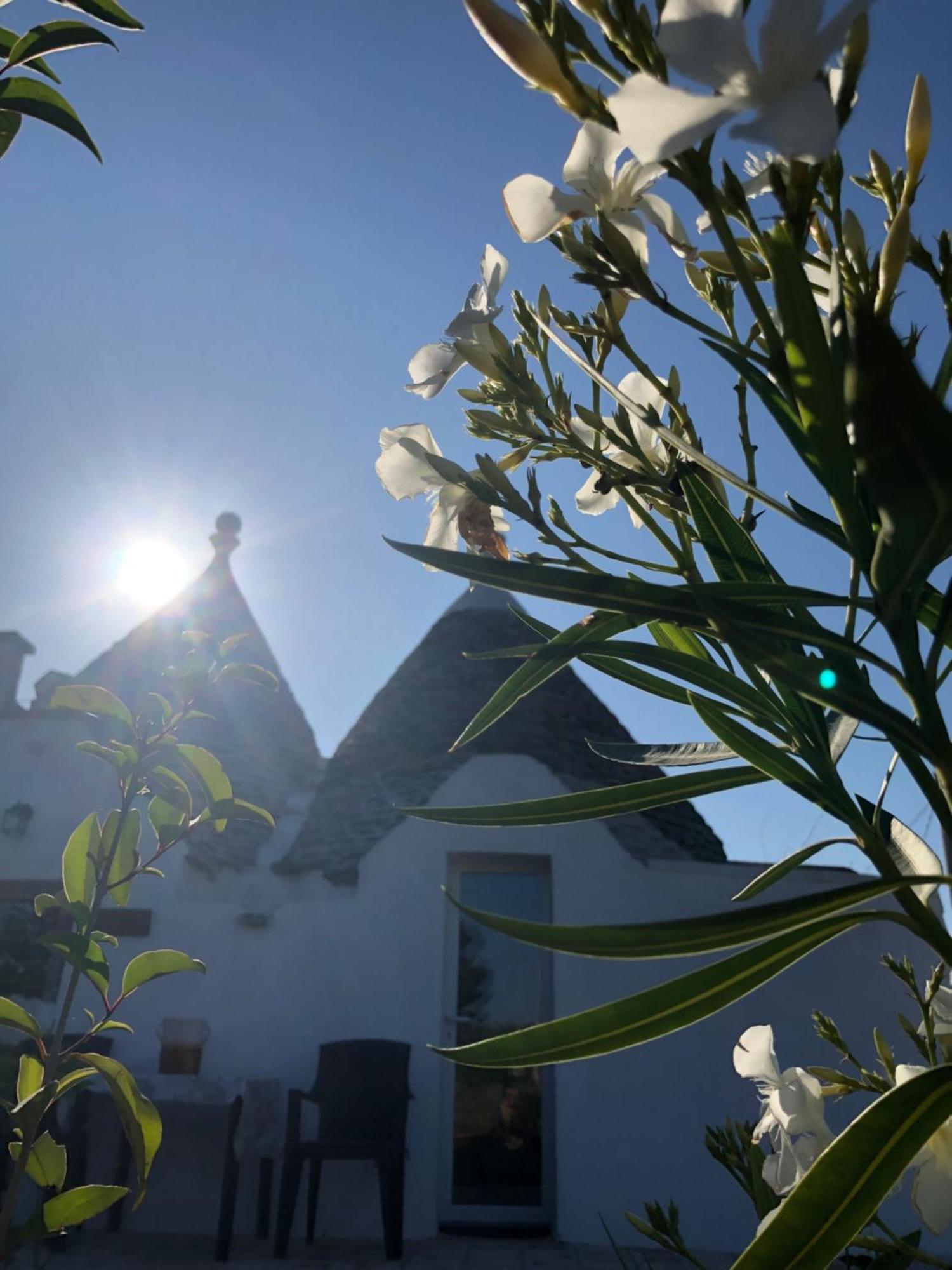 הוילה מרטינה פרנקה Trullo Trilli Puglia מראה חיצוני תמונה