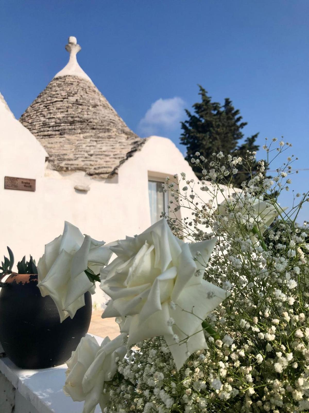 הוילה מרטינה פרנקה Trullo Trilli Puglia מראה חיצוני תמונה