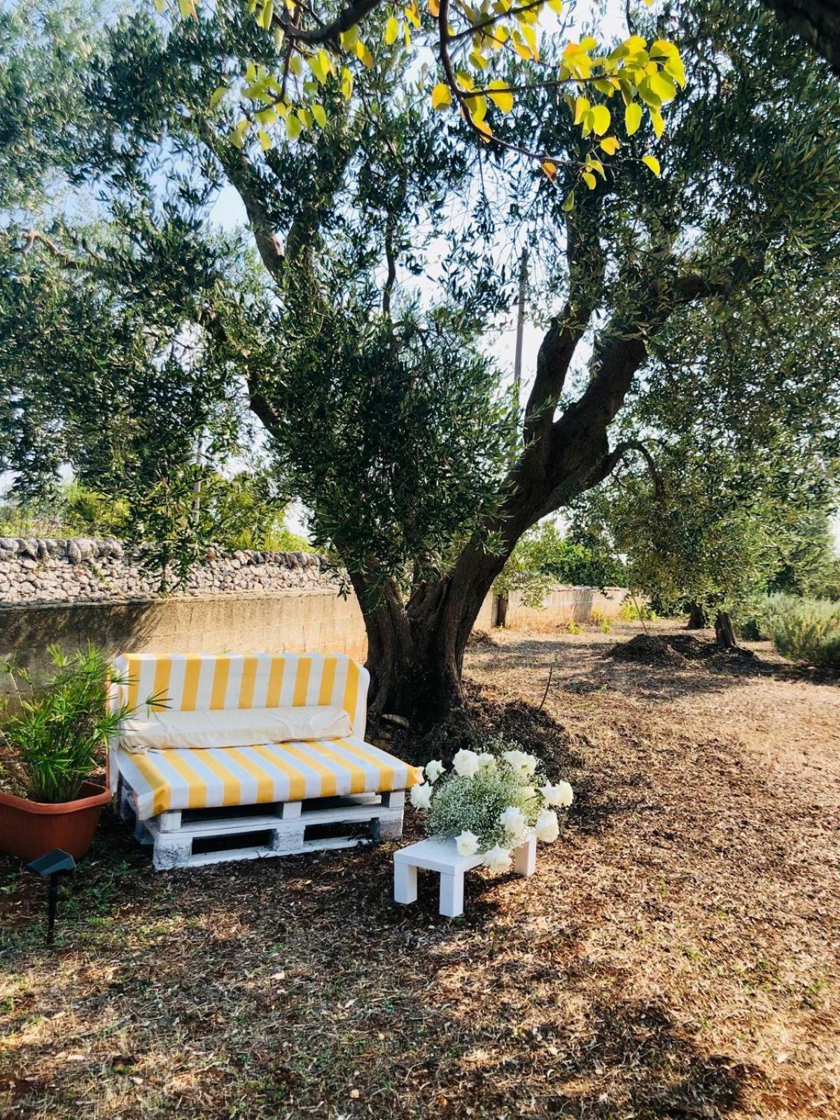 הוילה מרטינה פרנקה Trullo Trilli Puglia מראה חיצוני תמונה