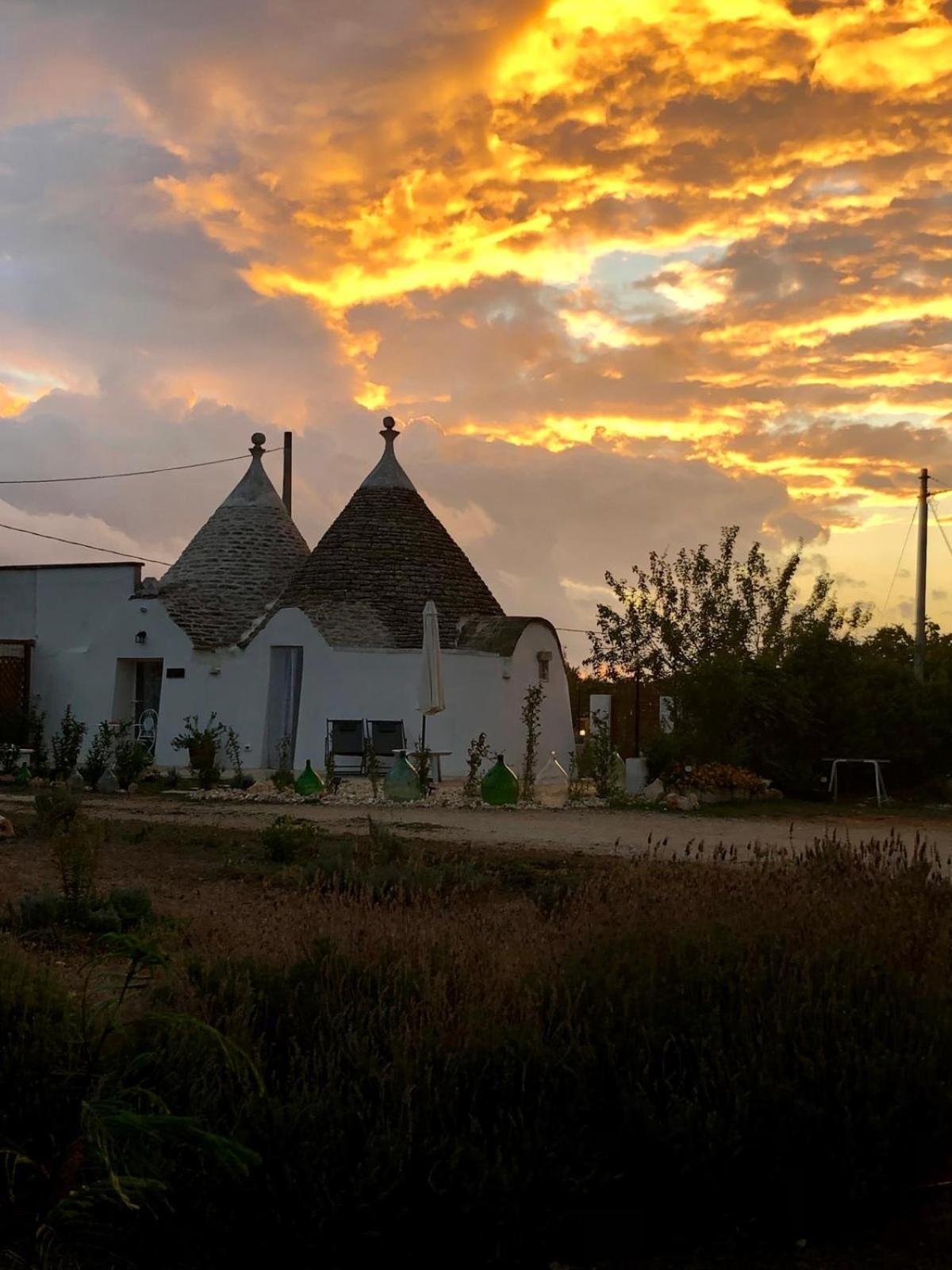 הוילה מרטינה פרנקה Trullo Trilli Puglia מראה חיצוני תמונה