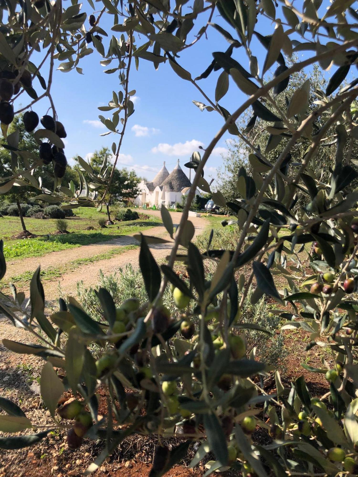 הוילה מרטינה פרנקה Trullo Trilli Puglia מראה חיצוני תמונה